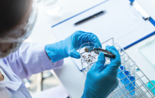 Technician inspecting a high-purity plastic component